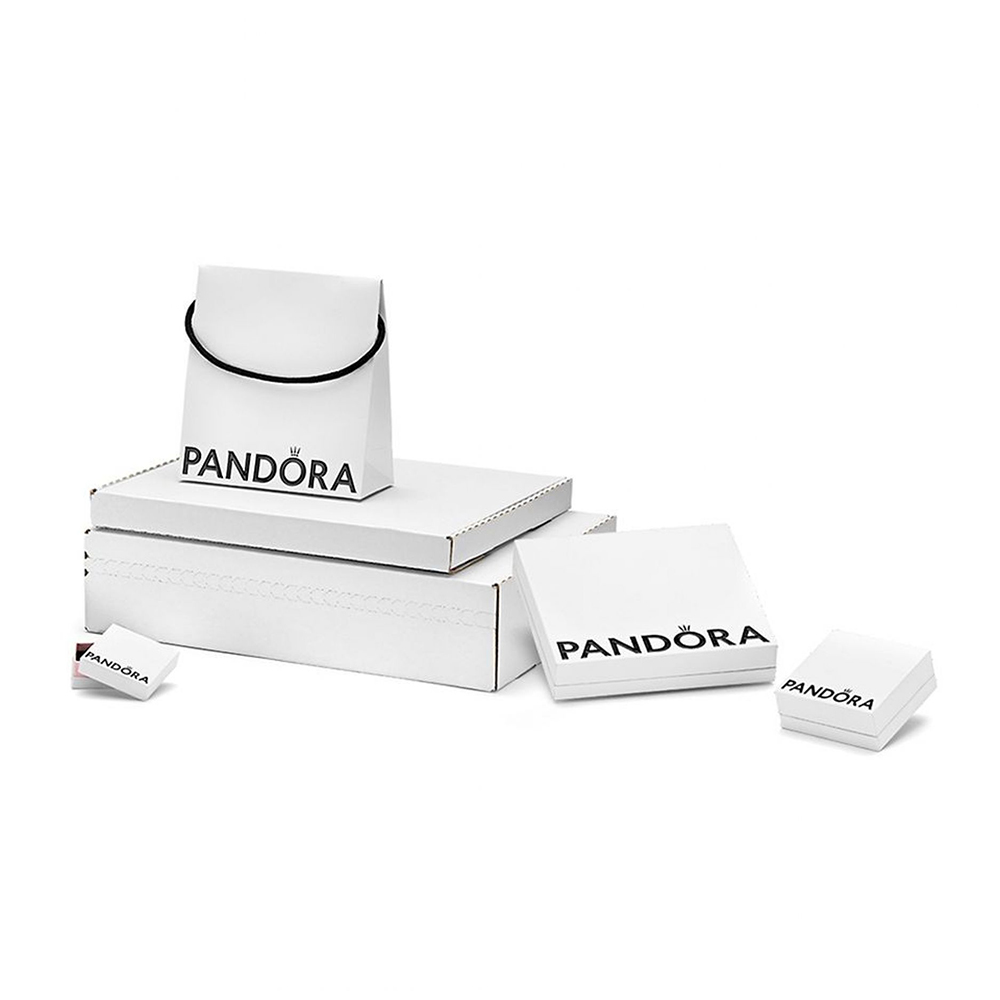 Pandora Moments O medálos ezüst T-nyaklánc